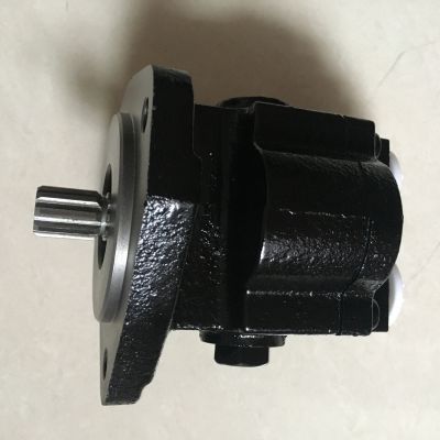 Oil pump Fuel pump Engine parts