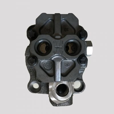 Oil pump Fuel pump Engine parts