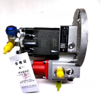 Oil pump Fuel pump Engine parts